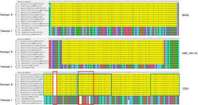 A triplex real-time PCR method to detect African swine fever virus gene-deleted and wild type strains